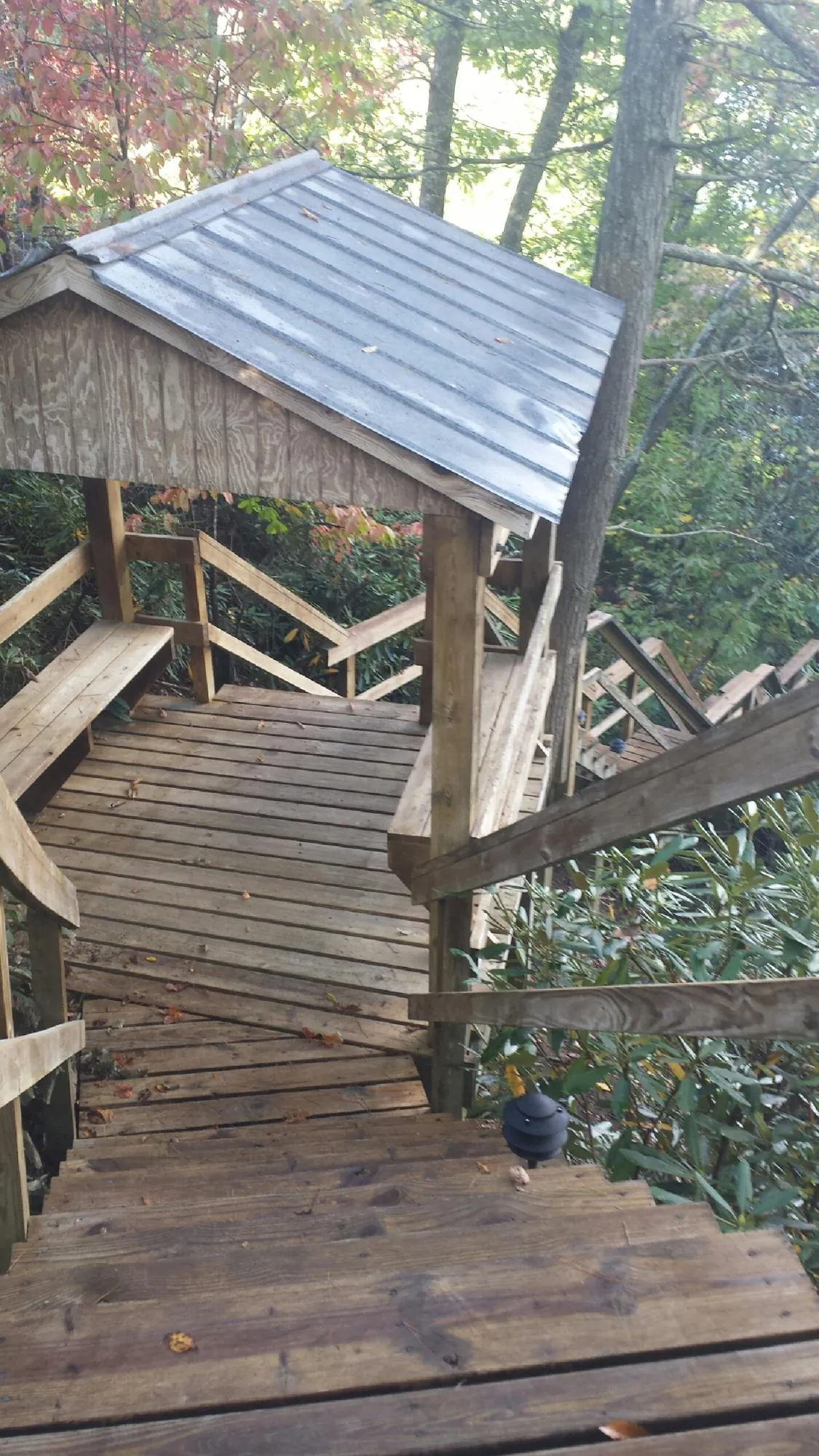 Metal roofed shelter over wooden steps on a wooded walkway — Skylight Repair & Installation work by our crew in Greenwood